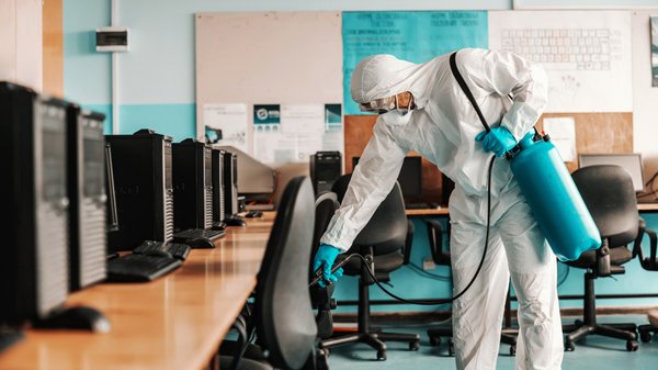 Nuisibles : protégez les équipements informatiques dans vos locaux !